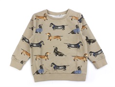 Name It pure cashmere dog sweatshirt